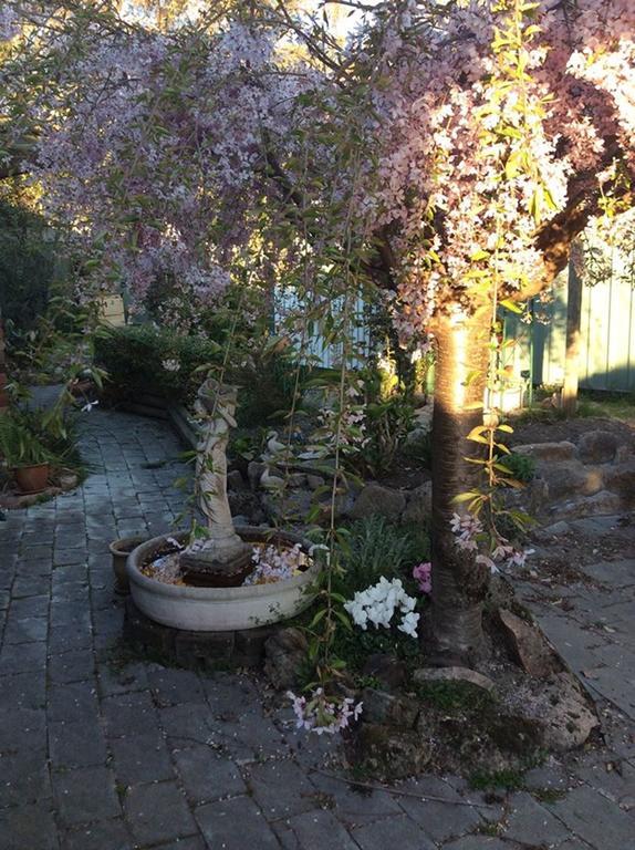 Beechworth Gorge Walk Guest House Экстерьер фото